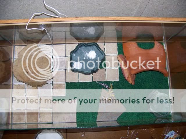 100_2548.jpg