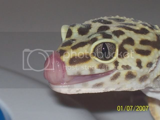 morepics013.jpg