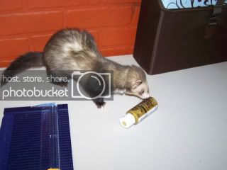 100_3240.jpg