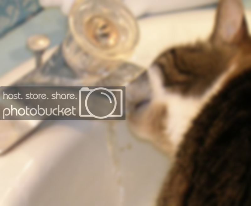 belletappingsink.jpg