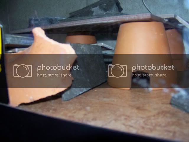 100_2517.jpg