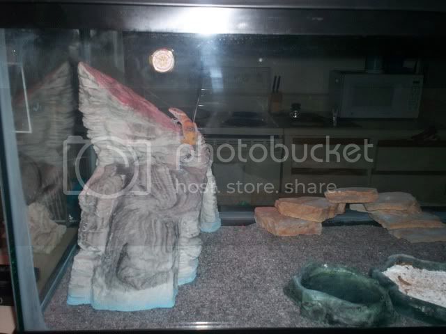 100_4182.jpg