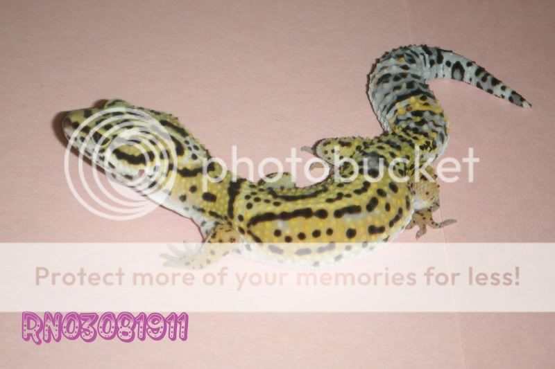 DSCF1564.jpg