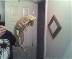 16429_28415_Medium_G3vbAHtqWSuP0v.jpg