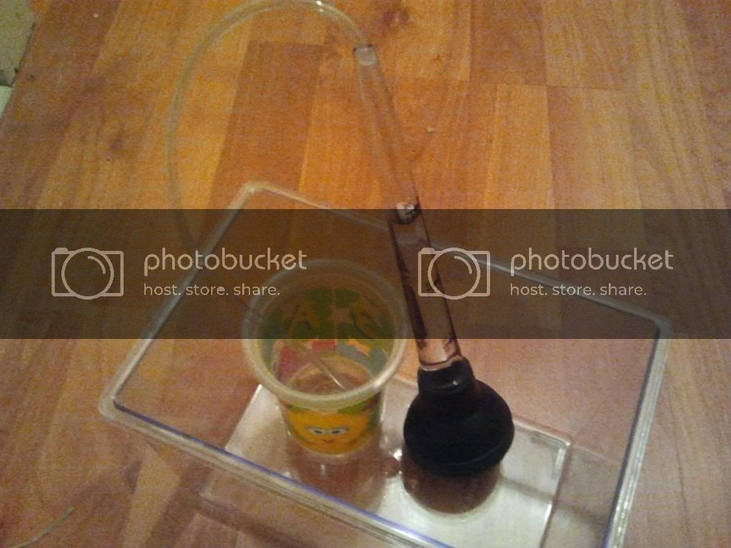 2014-01-24214115.jpg