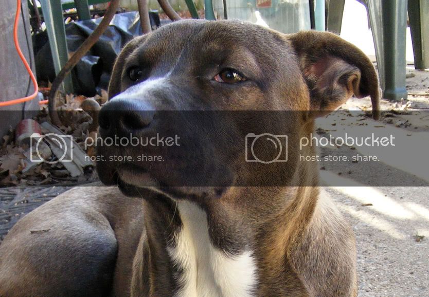 Racer14-head.jpg
