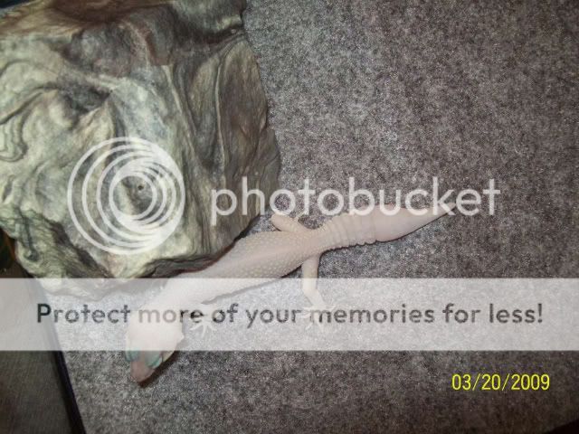 100_1399.jpg