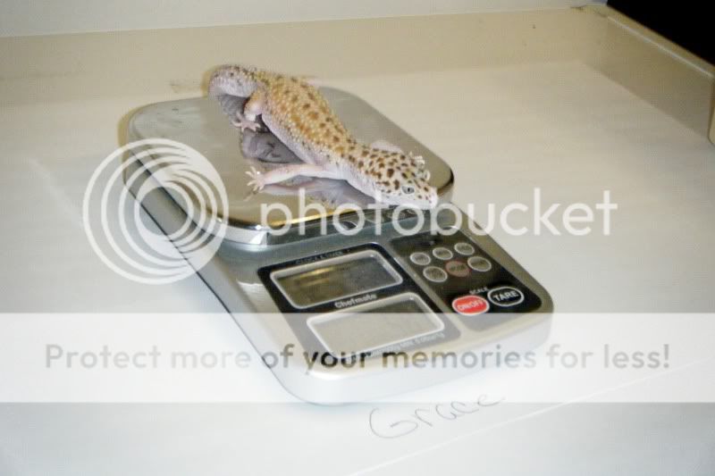 DSCF0576.jpg