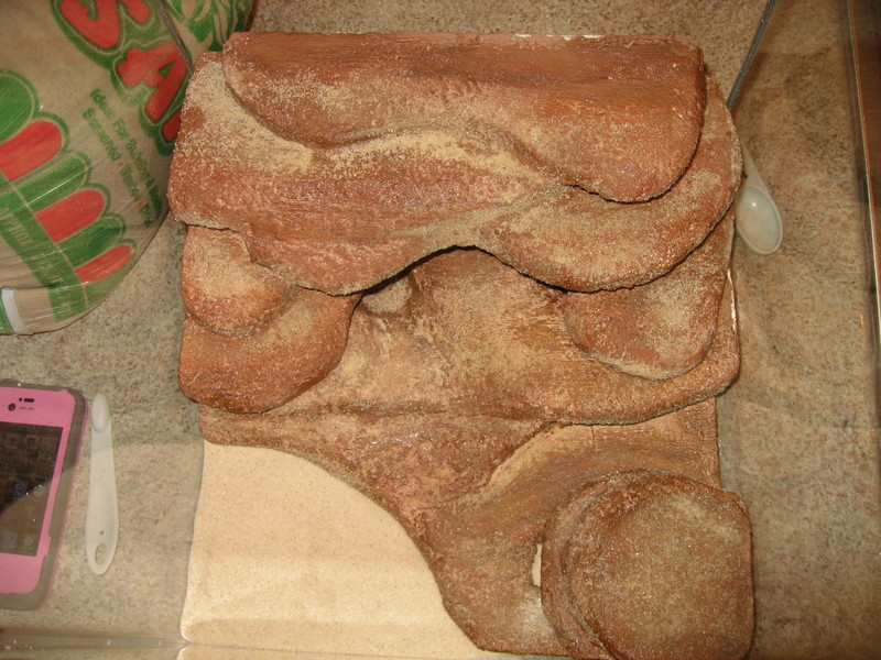 IMG-0203.jpg