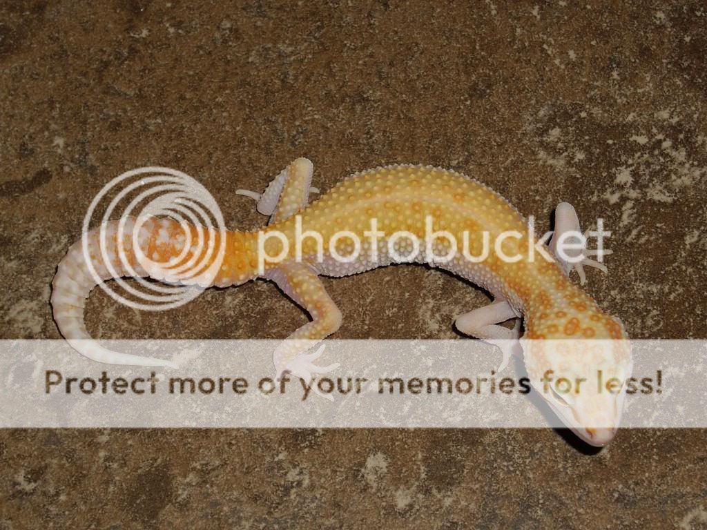 IMGP6390.jpg