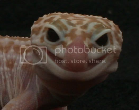 008-sucker-003.jpg