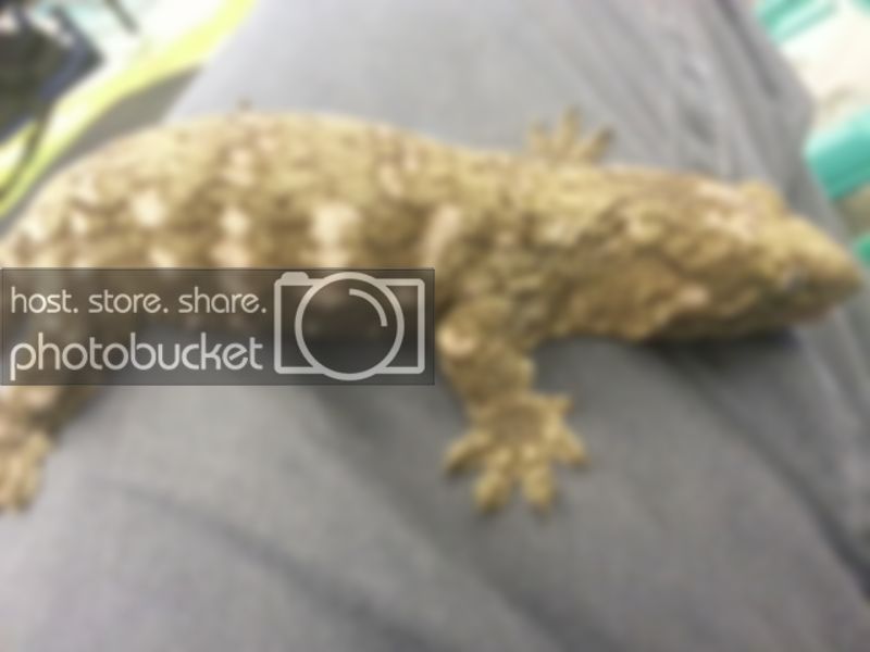 20130407_212819_zps263d262e.jpg