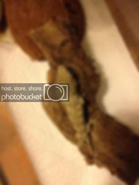 leachiephoto.jpg