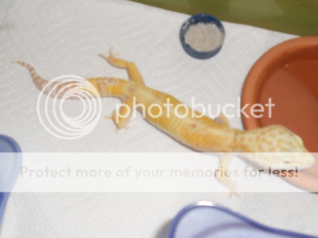 DSCN1227.jpg