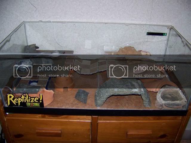 100_2516.jpg