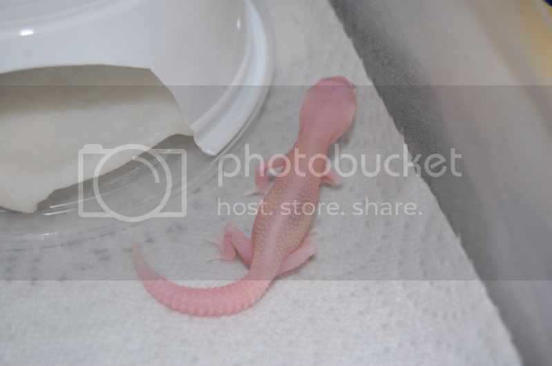 DSC_1205.jpg