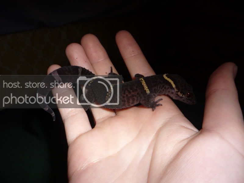 P1000859.jpg