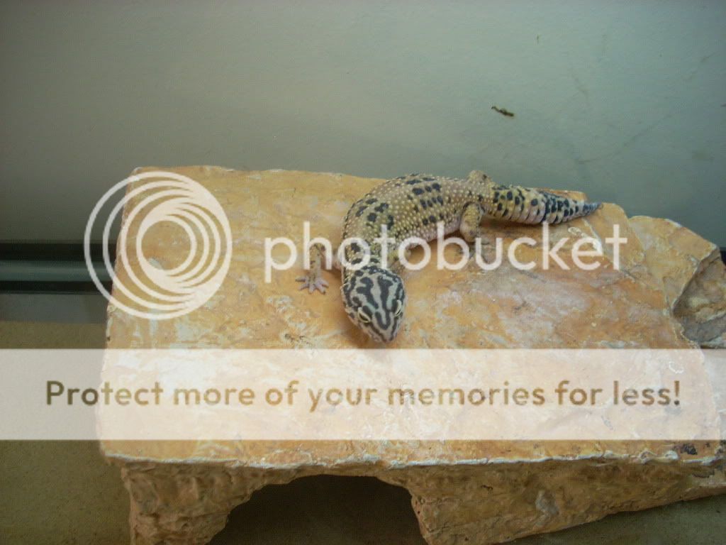 DSCN0040.jpg