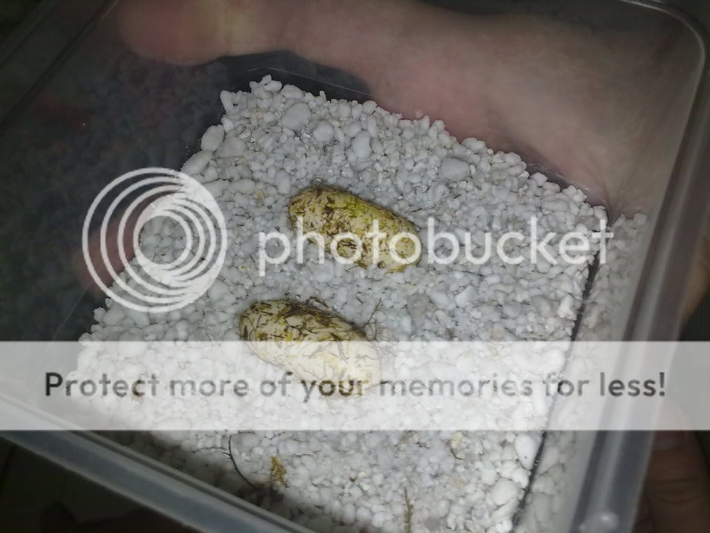 26082010138.jpg