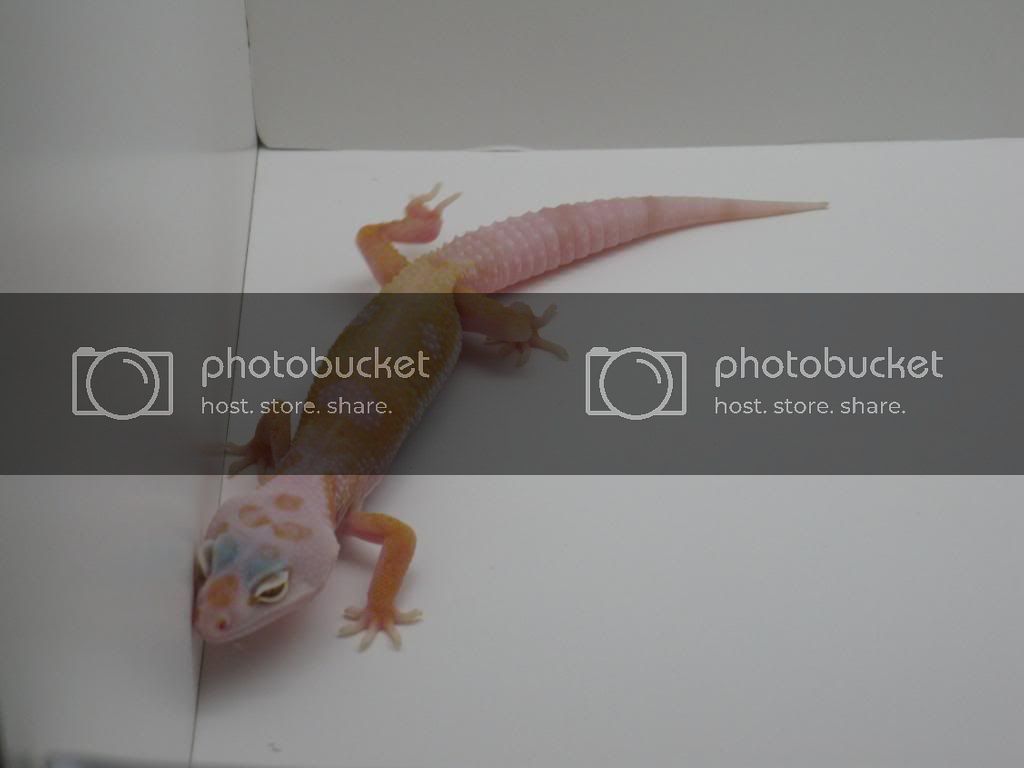 sale001.jpg