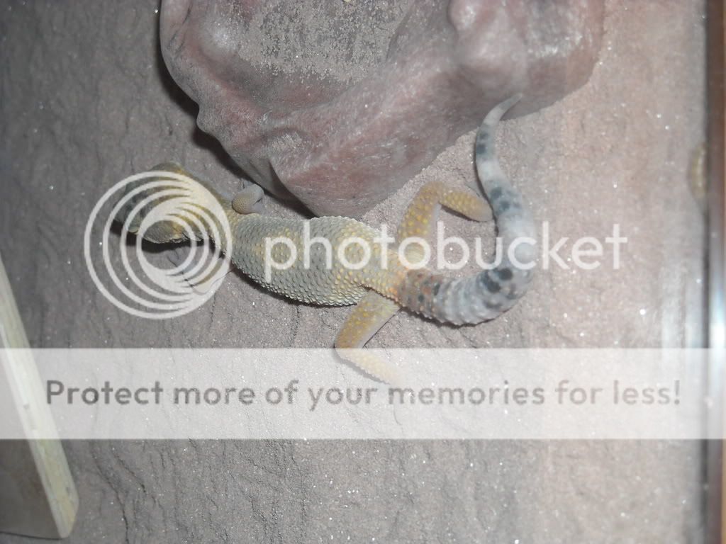DSCN6890.jpg