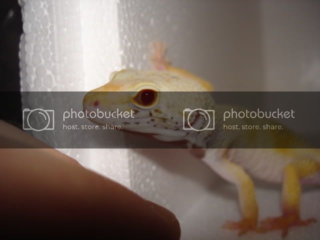 DSC04517.jpg