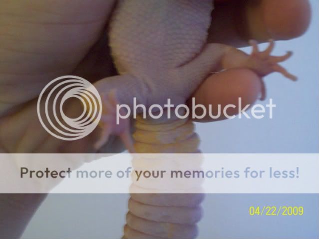 100_1705.jpg