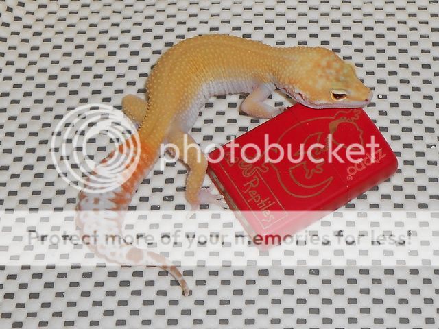 DSCN0716.jpg