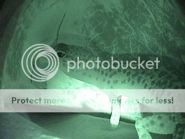 DSC00063.jpg