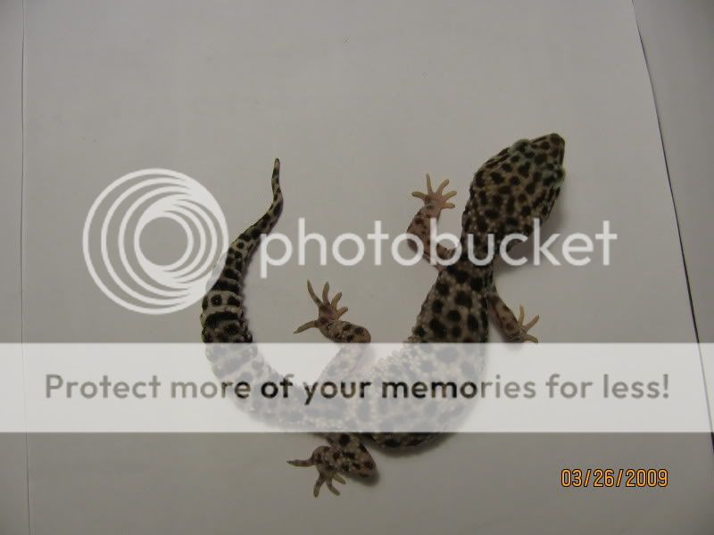 IMG_0074.jpg