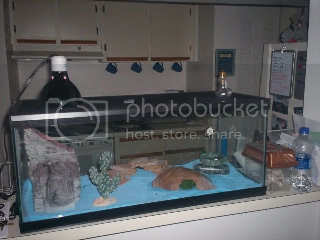 100_4140.jpg