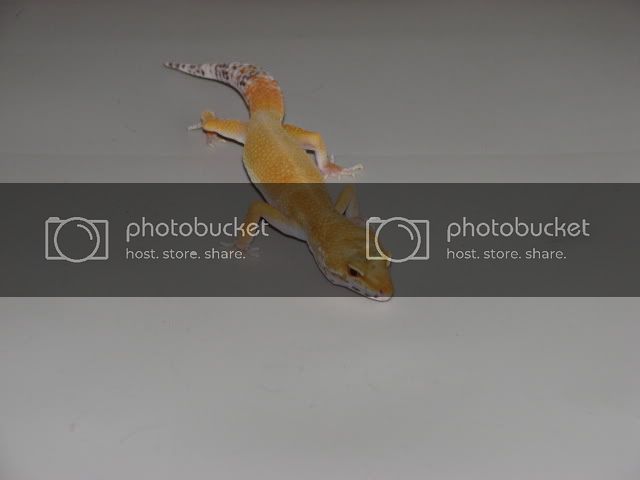 img_4845.jpg