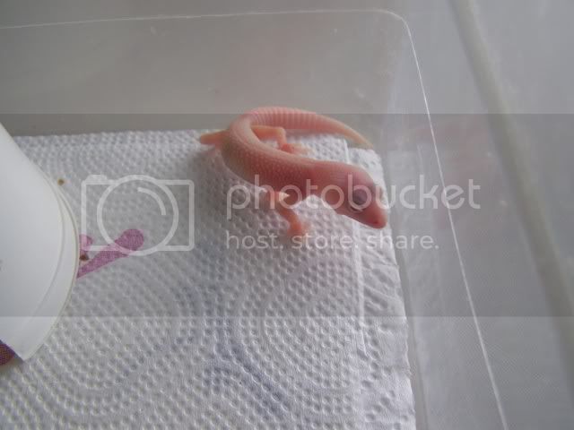 100_4144.jpg