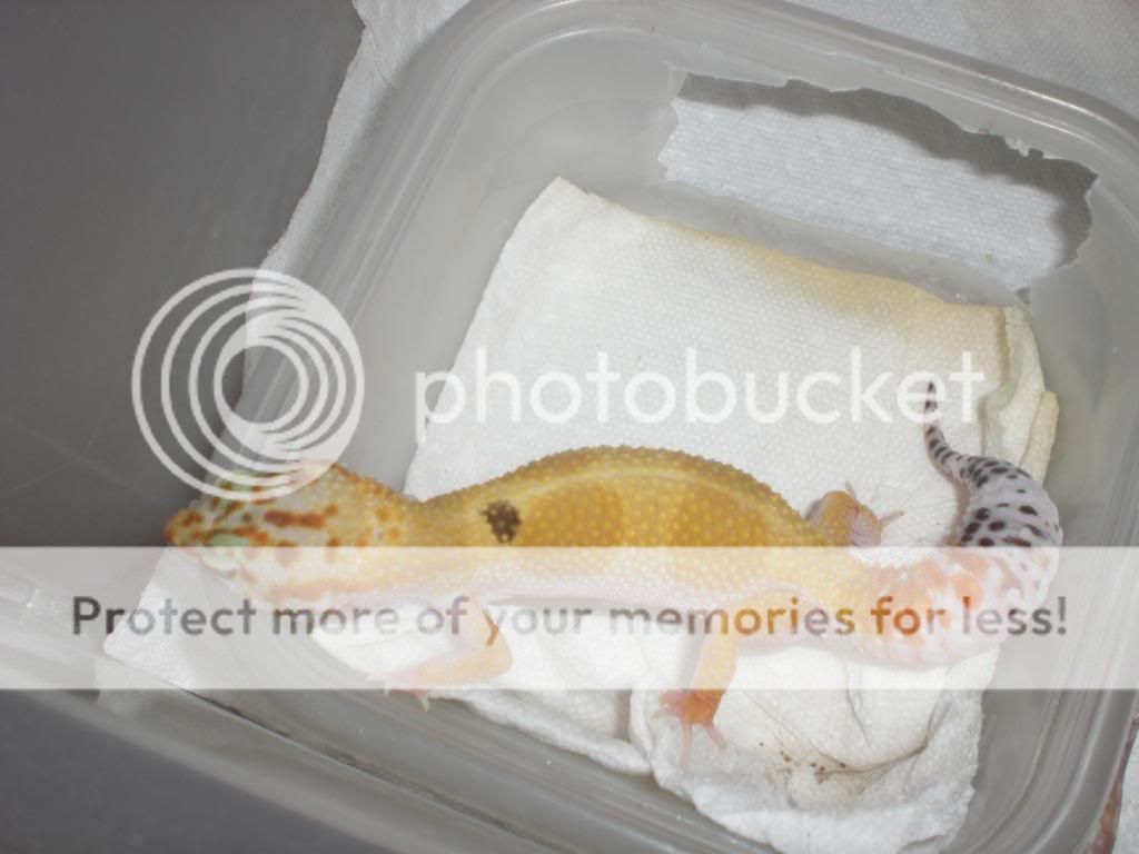 junepix049.jpg