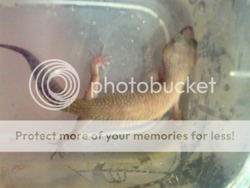 09282011086.jpg