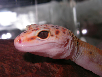 504368776_KfNdQ-S.jpg
