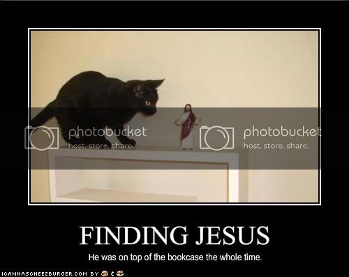 funny-pictures-your-cat-has-found-j.jpg