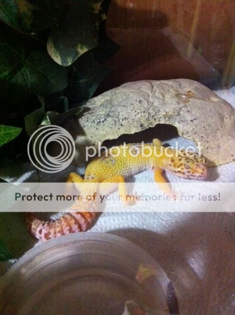 photo-12.jpg