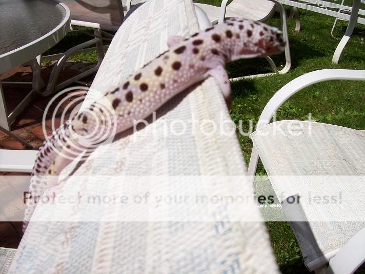 abualbum010.jpg