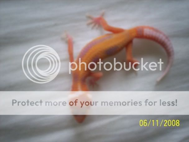 100_2388.jpg