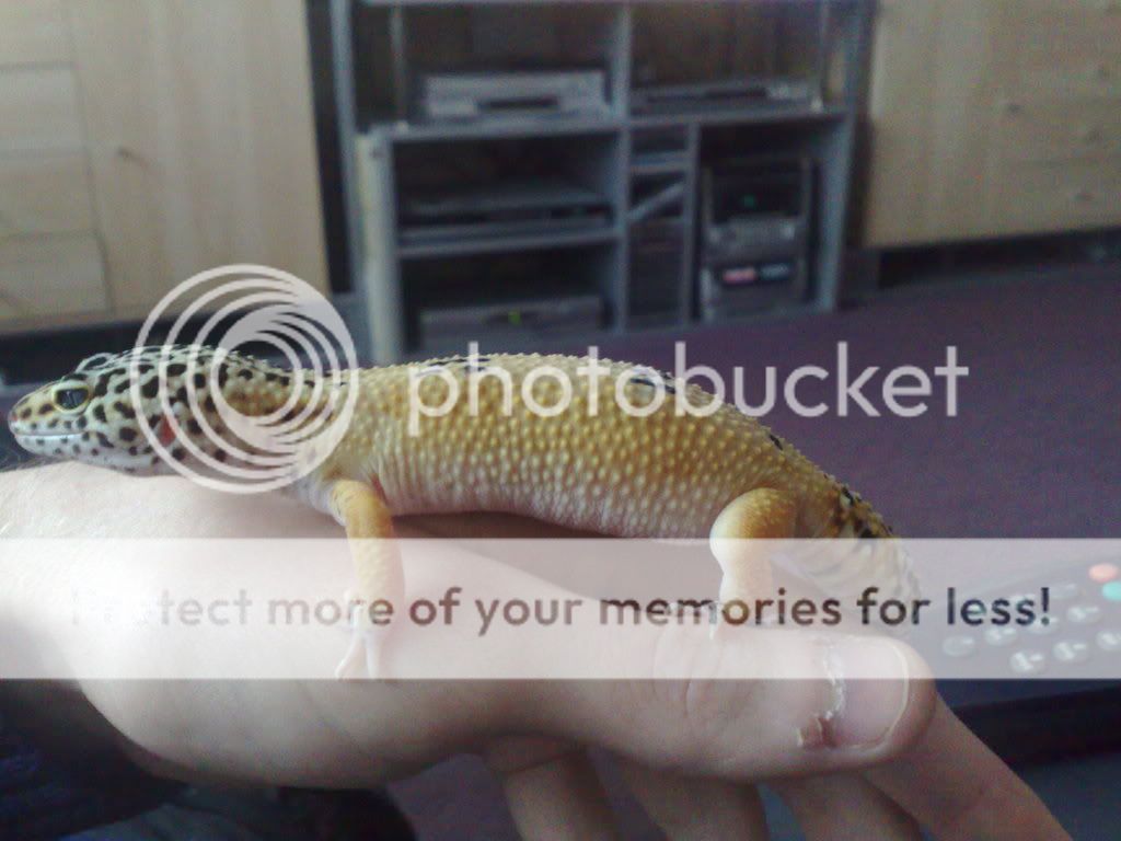 26012009054.jpg