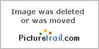 368902213.jpg