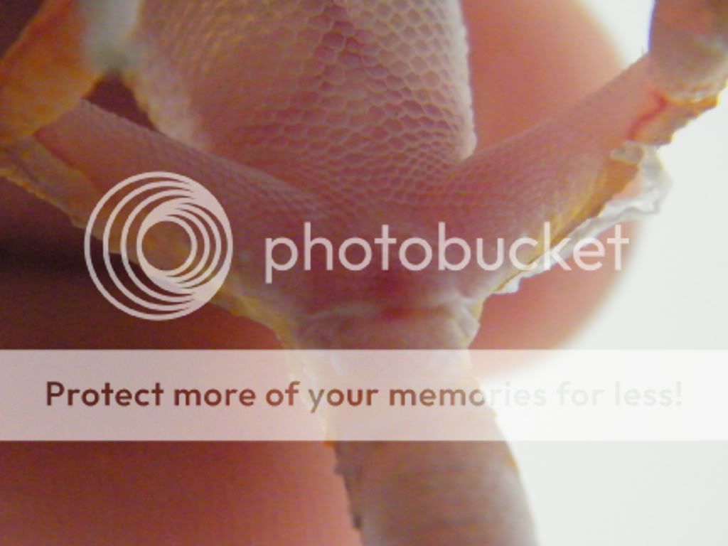 DSCF1861.jpg