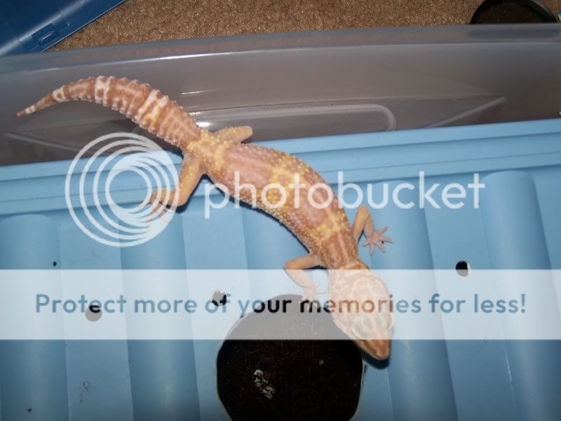 100_5589.jpg