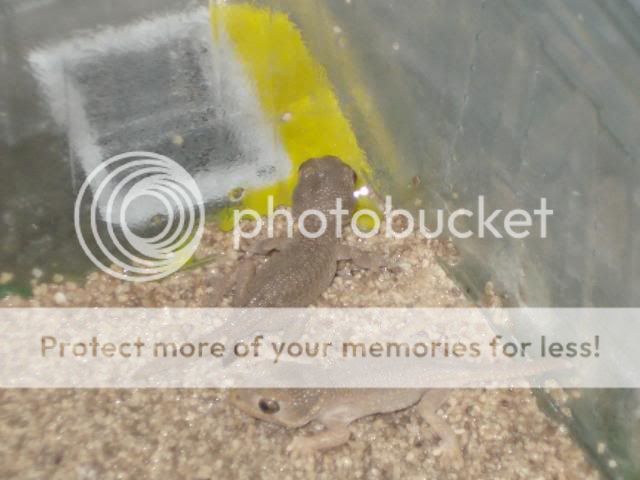 nakweek200925-04047.jpg
