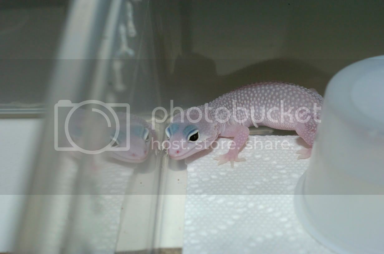 baby2-3.jpg