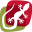 lizard-pets.com