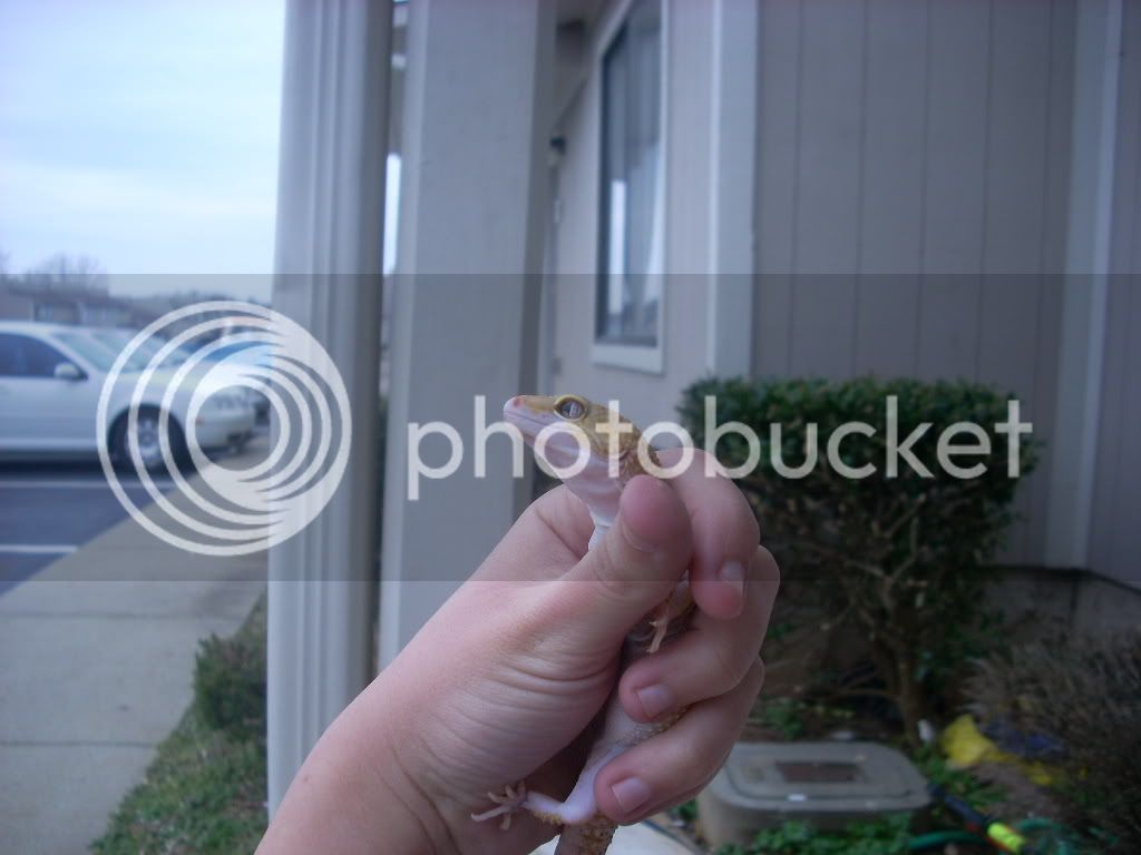DSCN0312.jpg