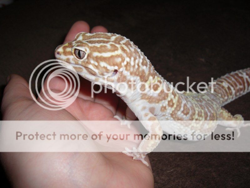 CIMG1274800x600.jpg