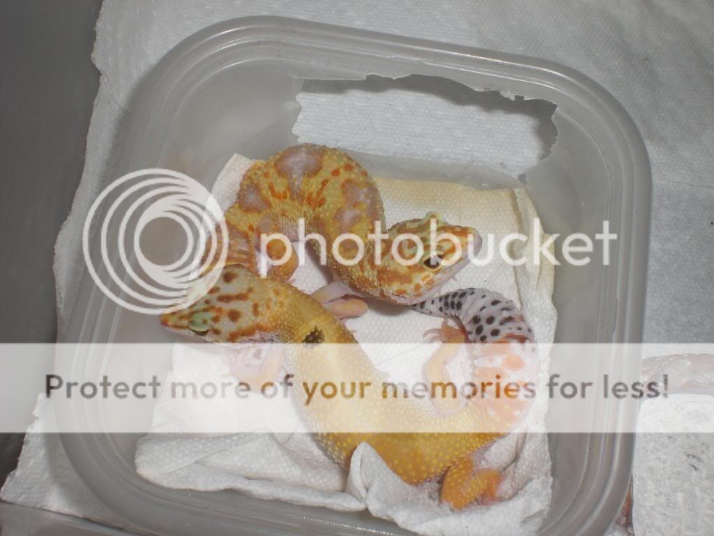 junepix040.jpg